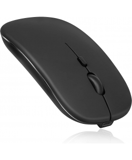 RoGer PM33 Rechargeable Wireless Mouse 1600DPI / 2.4GHz / Silent