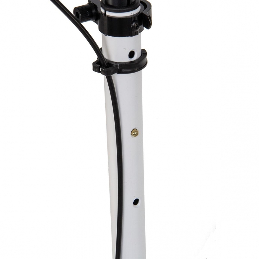 Paspirtukas su diskiniais stabdžiais Enero Ultra Speed, 200mm, baltas – 5
