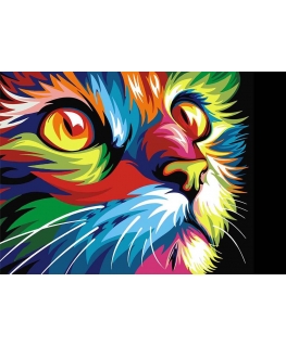 Beldizart Rainbow Cat 38 x 27 cm WD200