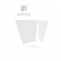 Tryumf Engraved glass trophy