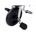 Lean Cars Rower Trójkołowy PRO300 Juodas Lean Cars Rower Trójkołowy PRO300 Juodas