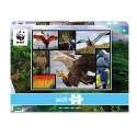 Ambassador Birds 1000 Pieces Ambassador Birds 1000 Pieces