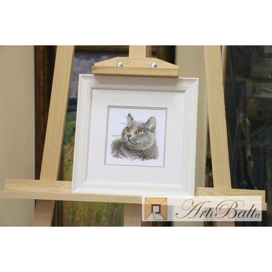 Beldizart British cat S0-134 – 4