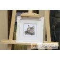 Beldizart British cat S0-134 Beldizart British cat S0-134