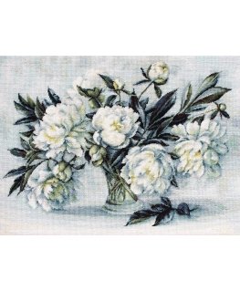 luca S Peonies SB517