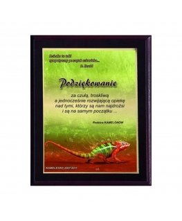 Tryumf Plastic diploma with colored touch laminate