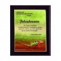 Tryumf Plastikinis diplomas su spalvotu touch laminatu Tryumf Plastikinis diplomas su spalvotu touch laminatu