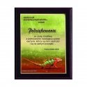 Tryumf Plastic diploma with colored touch laminate Tryumf Plastic diploma with colored touch laminate
