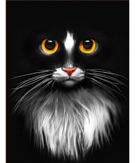 Beldizart Diamond Painting Kit "Black Cat" 30х40 AM1899