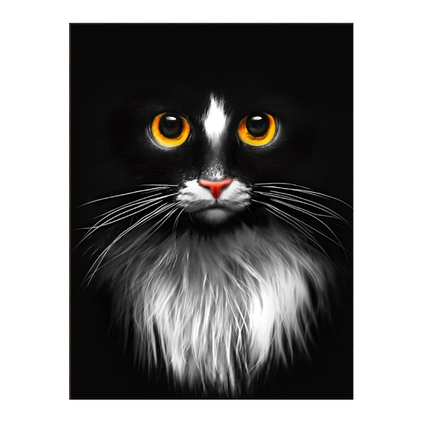 Beldizart Diamond Painting Kit "Black