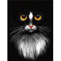 Beldizart Diamond Painting Kit "Black Cat" 30х40 AM1899 Beldizart Diamond Painting Kit "Black Cat" 30х40 AM1899