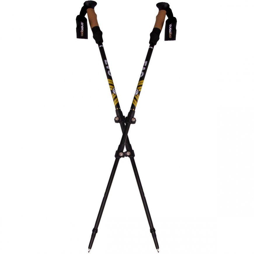 Enero Pro Nordic walking poles in case – 2