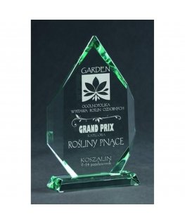Tryumf Engraved glass trophy with case