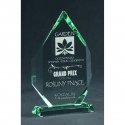 Tryumf Engraved glass trophy with case Tryumf Engraved glass trophy with case