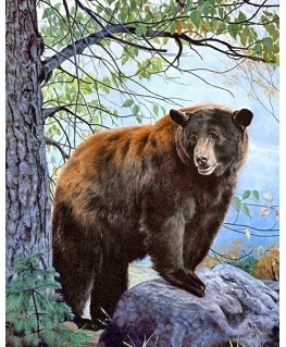 Beldizart Brown bear 38*48 cm WD083