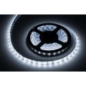 Rebel LED juosta 5m (300x5630) šaltai balta 12V