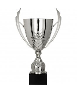 Detail Silver metal cup