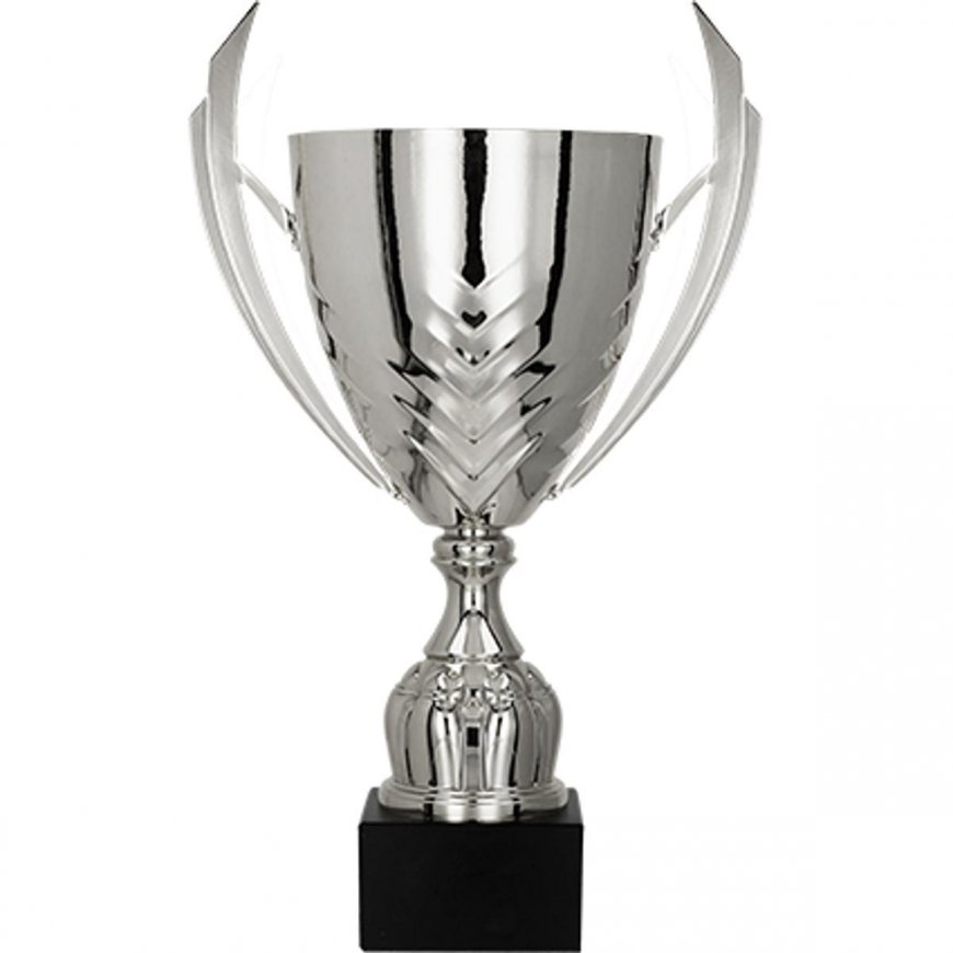 Detail Silver metal cup