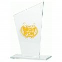 Tryumf Engraved glass trophy + paint filler Tryumf Engraved glass trophy + paint filler