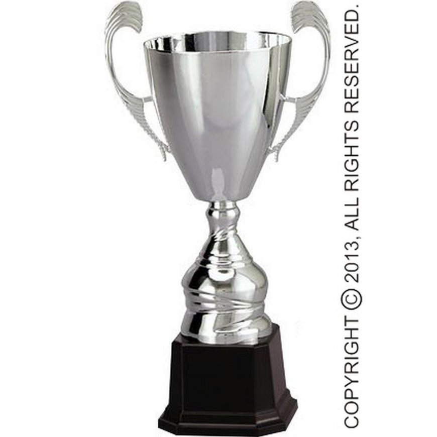 Triumph CUP 4105B
