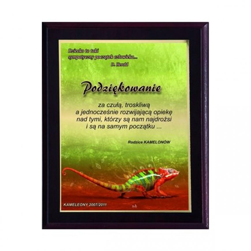Tryumf Plastic diploma with colored touch laminate – 3