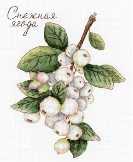 Beldizart Uogos SNV-662