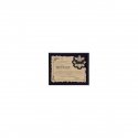 Tryumf Plastic diploma with engraved laminate