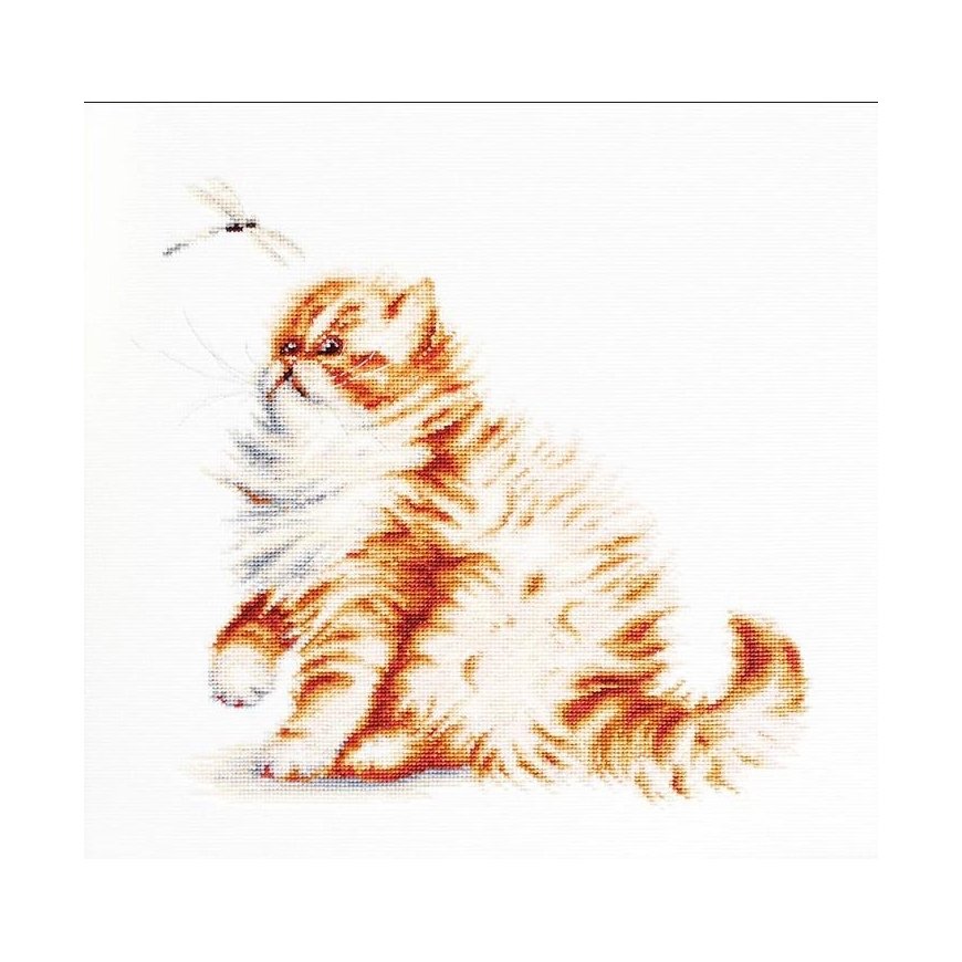 Luca S luca S Kitten with