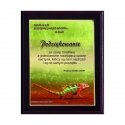 Tryumf Plastic diploma with colored touch laminate Tryumf Plastic diploma with colored touch laminate