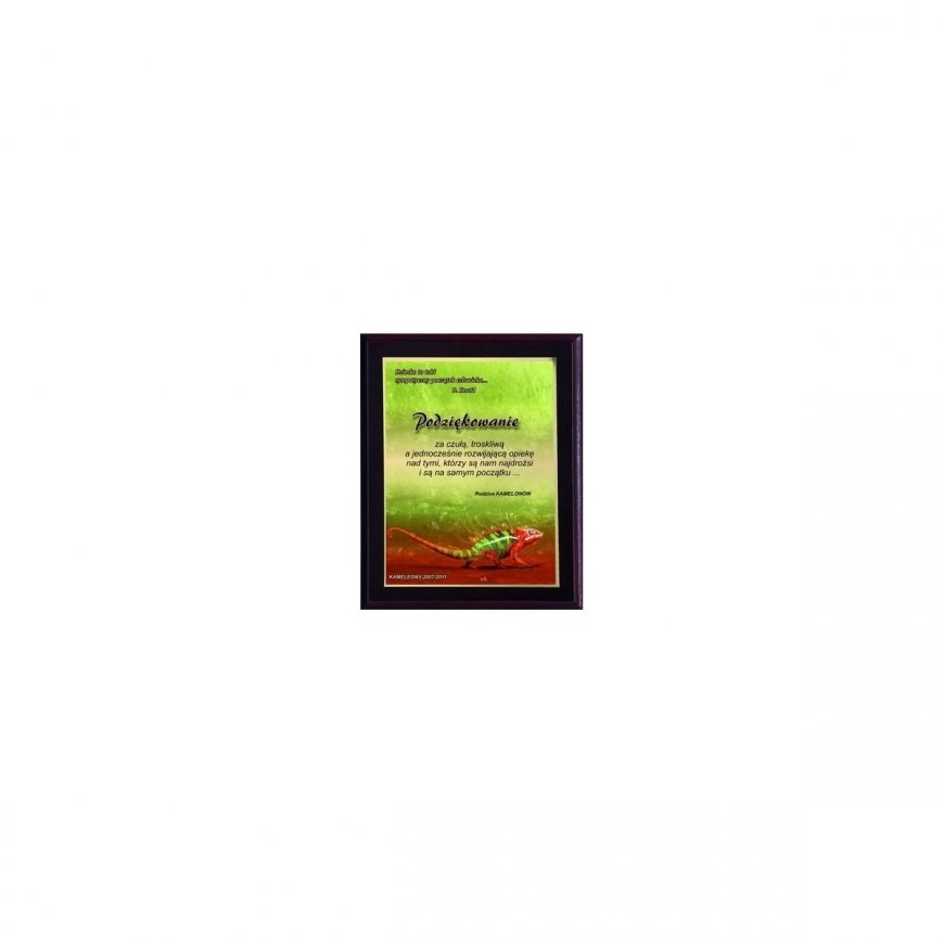 Tryumf Plastic diploma with colored touch laminate – 2