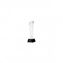 Tryumf Engraved glass trophy with case