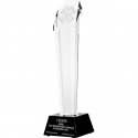 Tryumf Engraved glass trophy with case