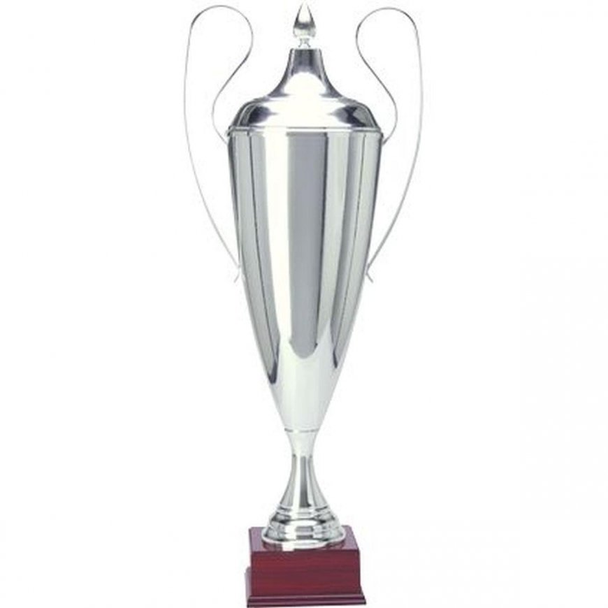 Tryumf Silver metal cup TD 1042-N/C