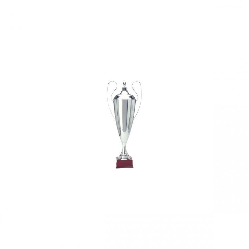 Tryumf Sidabrinis metalinis puodelis T-D 1042-N/C – 2