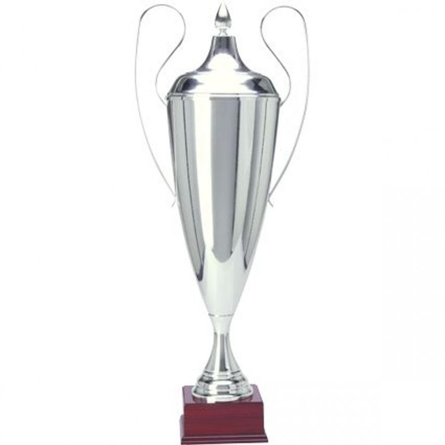 Tryumf Sidabrinis metalinis puodelis T-D 1042-N/C – 4