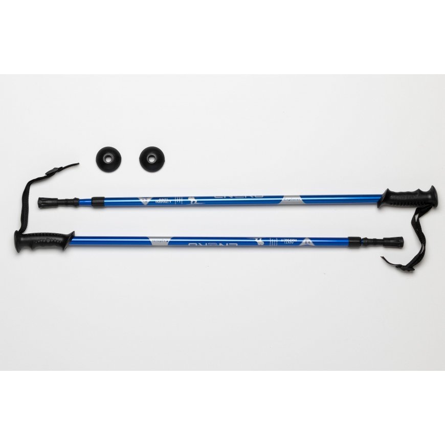 Enero Trekking poles Enero Classic, gray