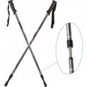 Trekking poles Enero Classic, gray