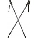 Trekking poles Enero Classic, gray