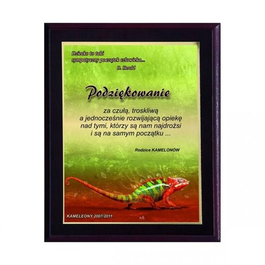 Tryumf Plastic diploma with colored touch