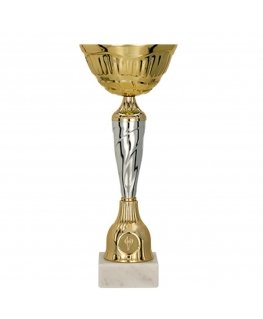 Detail Gold and silver metal cup
