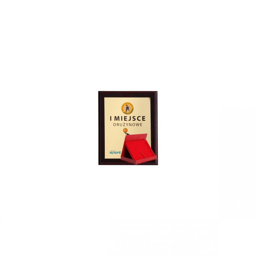 Tryumf Plastikinis diplomas su spalvotu jutikliniu laminatu + korpusas 355x300 mm – 2