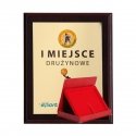 Tryumf Plastic diploma with color touch laminate + case 355x300 mm Tryumf Plastic diploma with color touch laminate + case 355x300 mm