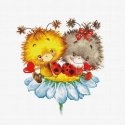 luca S (Discontinued) Ladybug SB1141 luca S (Discontinued) Ladybug SB1141