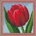 Beldizart Diamond painting set Tulip 15х15 cm AZ-1634 Beldizart Diamond painting set Tulip 15х15 cm AZ-1634