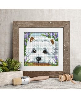 Beldizart Hiding in clover 15*15 cm AM1639