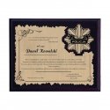 Tryumf Plastikinis diplomas su graviruotu laminatu Tryumf Plastikinis diplomas su graviruotu laminatu
