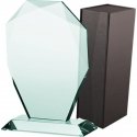 Tryumf Trofeum szklane su etui Tryumf Trofeum szklane su etui
