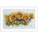 Merejka Bright sunflower SK125 Merejka Bright sunflower SK125
