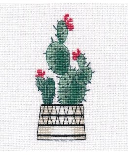 Beldizart Pear cactus S1489