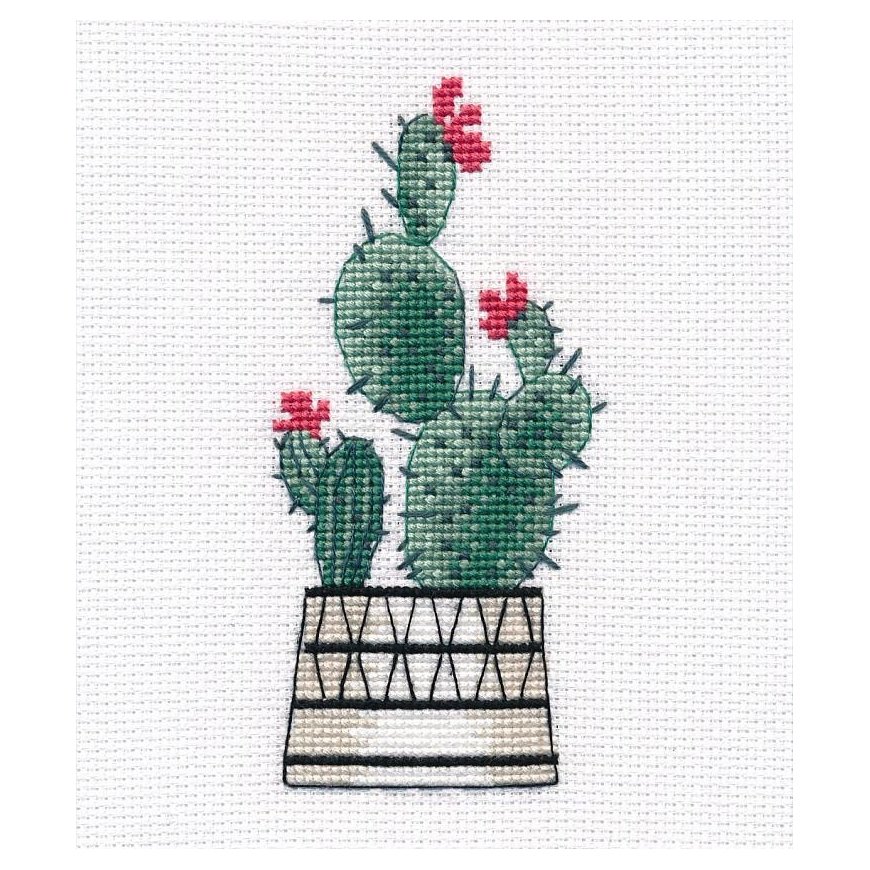 Beldizart Pear cactus S1489